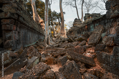Photos Angkor, tempio del Ta Phrom