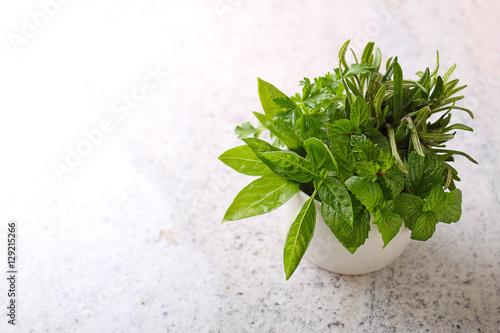 green mint, rosemary, parsley and basil in a white shirt
