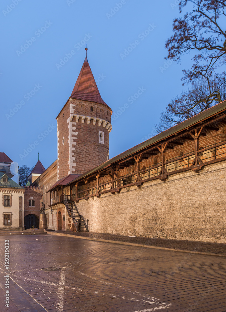 Carpenters gate and city wall in Krakow, Poland