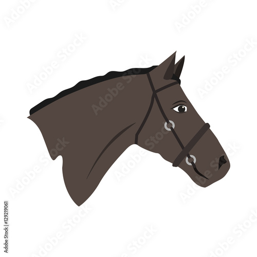horse flat icon