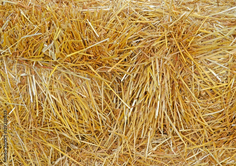 closeup of straw for backgrounds closeup of straw for backgrounds