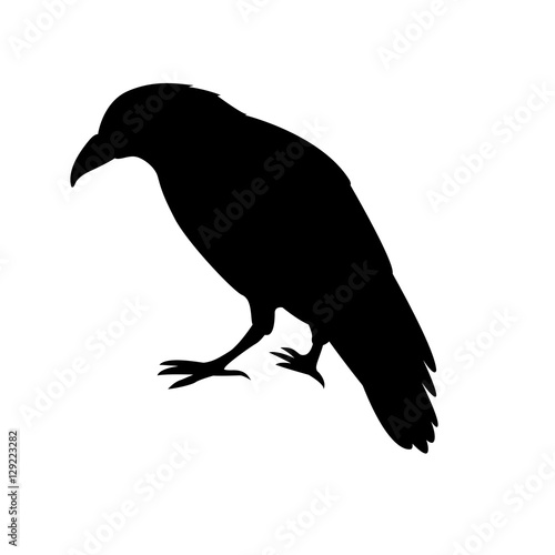 raven black silhouette vector illustration