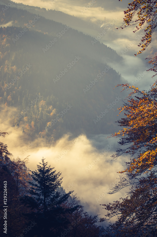 Morning mists in morning Pieniny mountains, autumn, Poland