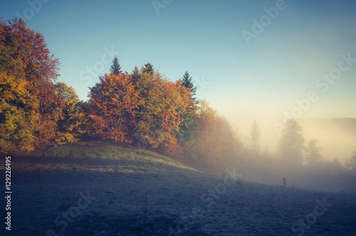 Autumn forest in Pieniny mountains, Poland