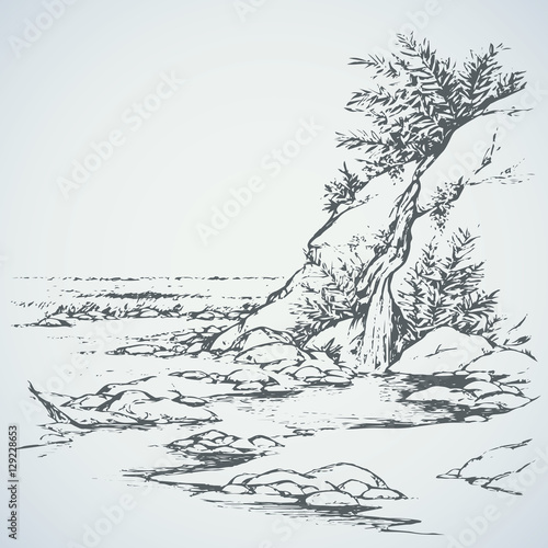 Vector landscape. Tree near a mountain stream
