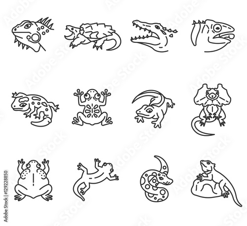 Reptiles and amphibians icons set. Lizards, thin line design. Reptiles, linear symbols collection. Cold-blooded animals, isolated vector illustration