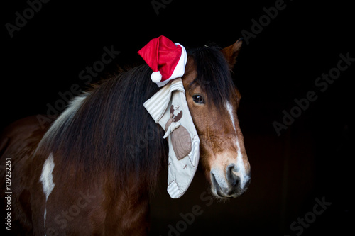 Weihnachtspferd © Nadine Haase