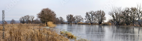 Autumn november landscape banner, panorama -- bare trees grow near the frozen river