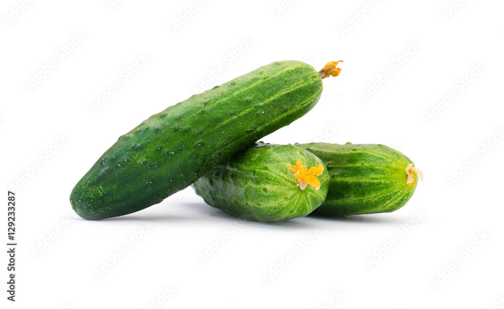 cucumber on white background cucumber on white background