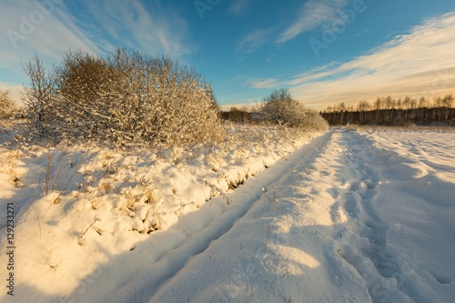 Fototapeta Naklejka Na Ścianę i Meble -  Snow covered polish landscape with rural road near fields and forest.