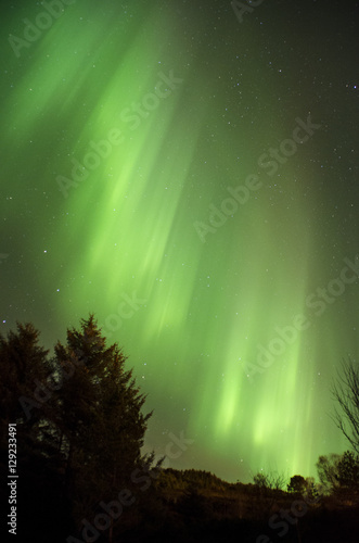 Northern Lights