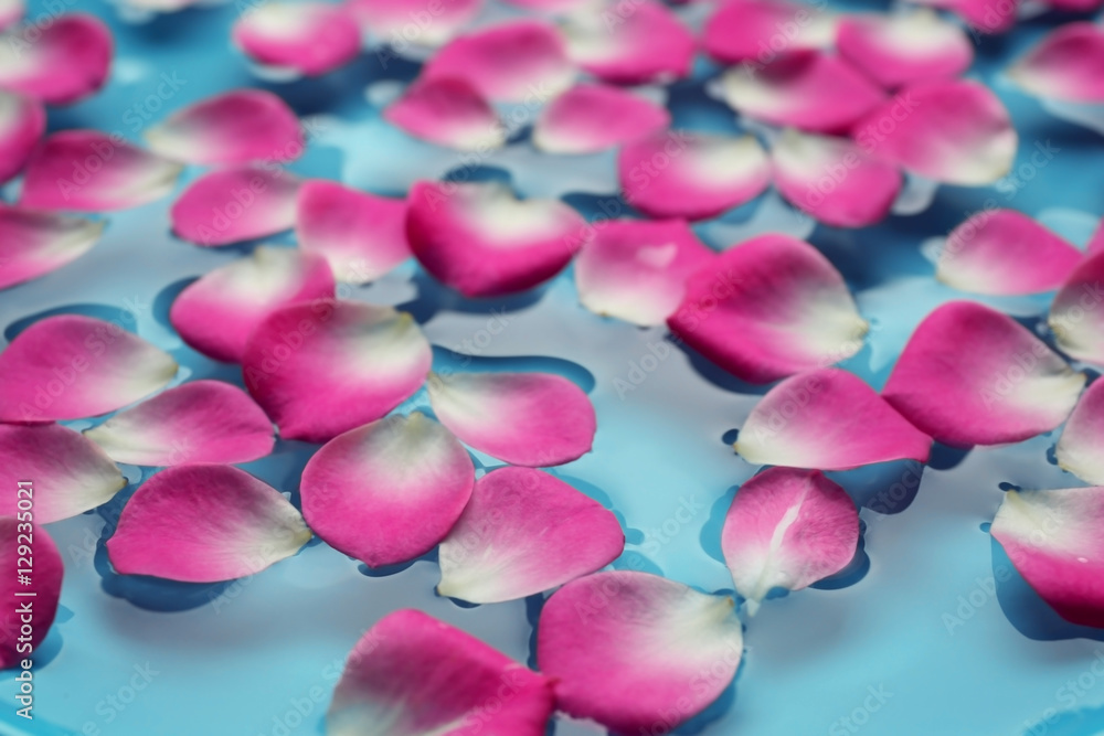 Beautiful spa composition with flower petals on water Beautiful spa composition with flower petals on water