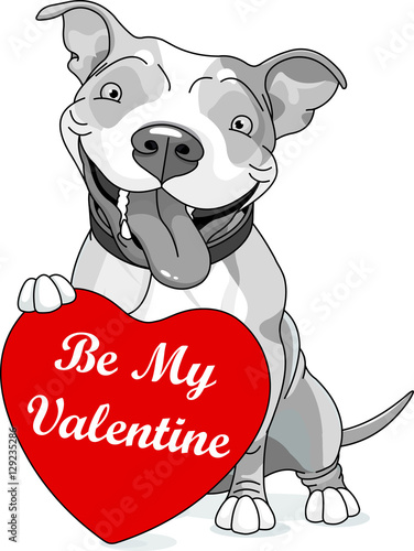 Valentine Pit Bull with heart