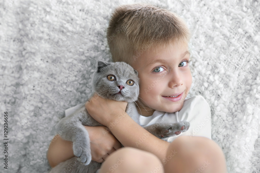 Little boy with British kitten on sofa closeup Little boy with British kitten on sofa closeup