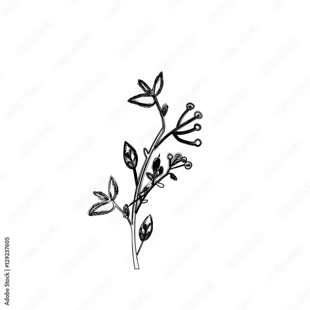 Fototapeta premium Flower icon. Plant floral garden decoration and ornament theme. Isolated design. Vector illustration