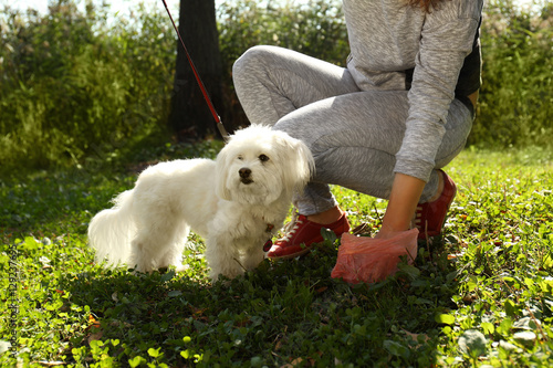 Fototapeta Naklejka Na Ścianę i Meble -  Woman gathering dog poo in park