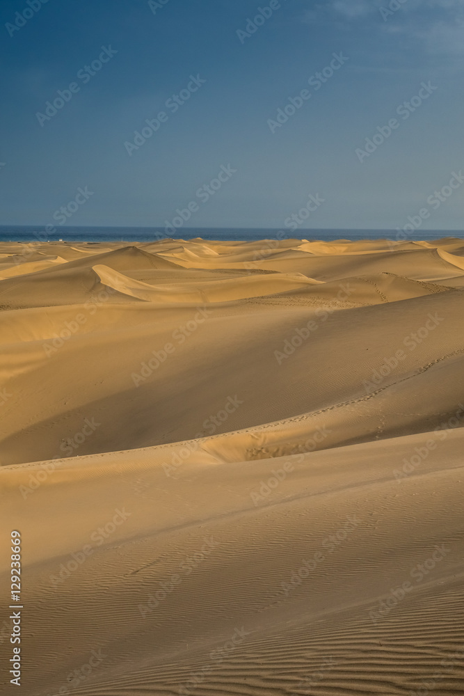 Stunning sand dunes of Maspalomas