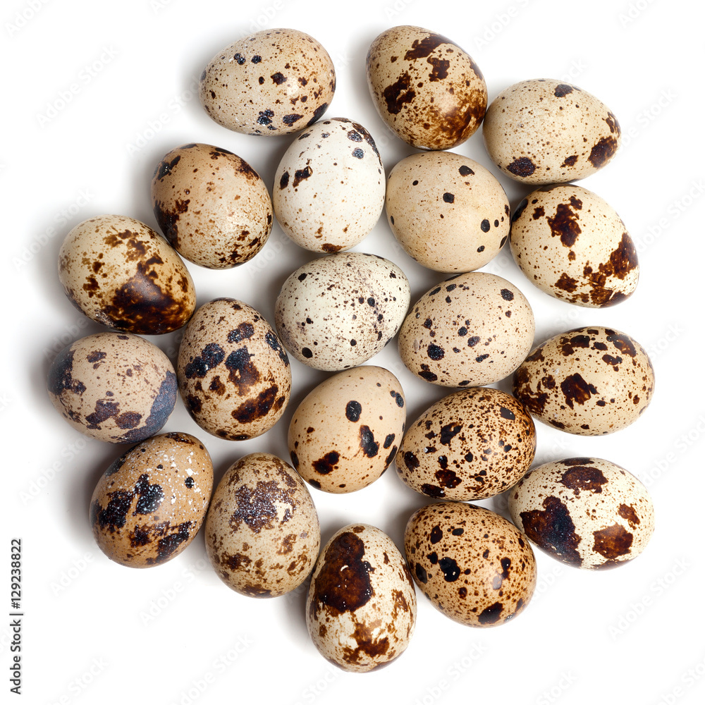 Quail eggs isolated on white Quail eggs isolated on white