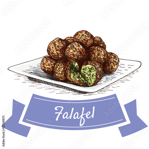 Falafel colorful illustration.