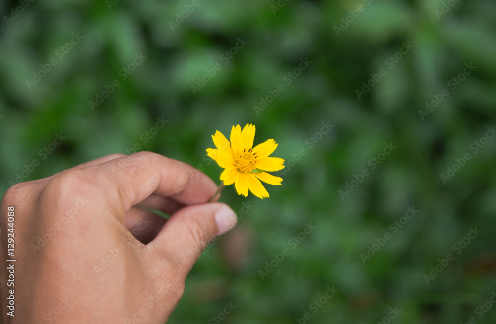hand with flowers hand with flowers