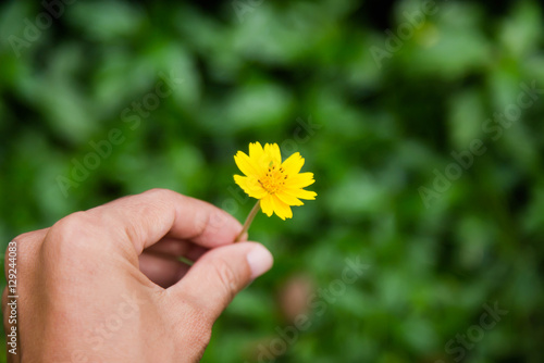 hand with flowers