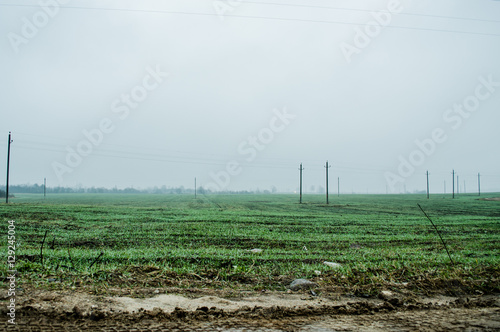 dirt highland, brown rough road in forest field and fog with electric poles / dirt road at the summer dramatic day / Cultivated land in a sunny day /