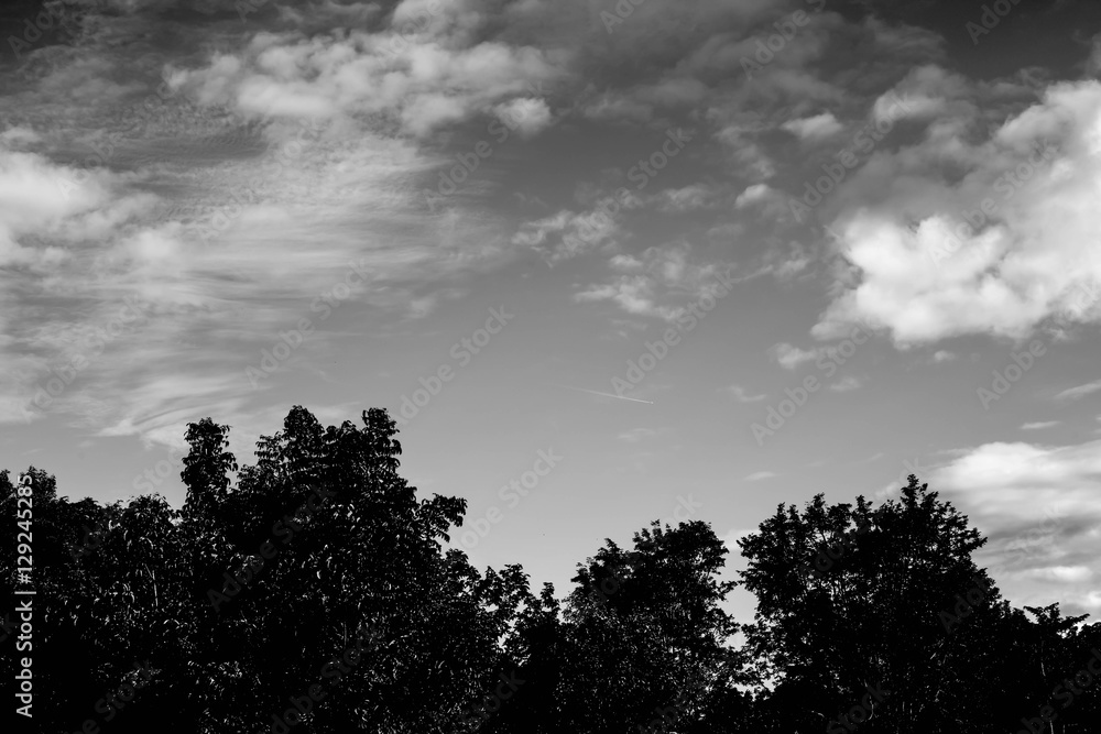 isolated clouds over black isolated clouds over black
