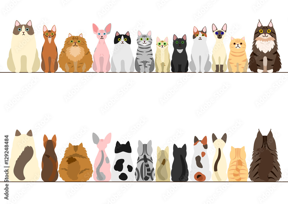 cats border set, front view and rear view - obrazy, fototapety, plakaty 