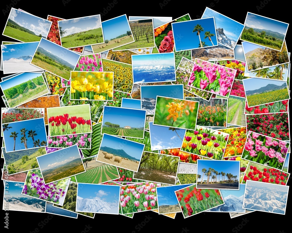 Collage of various nature photos Collage of various nature photos