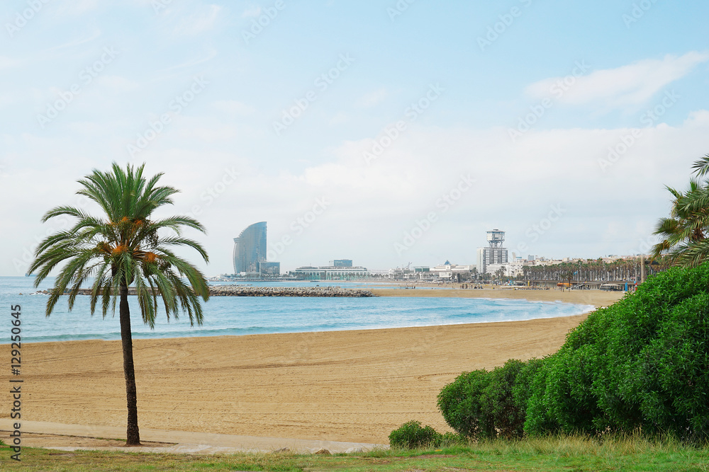 City beach with palm trees