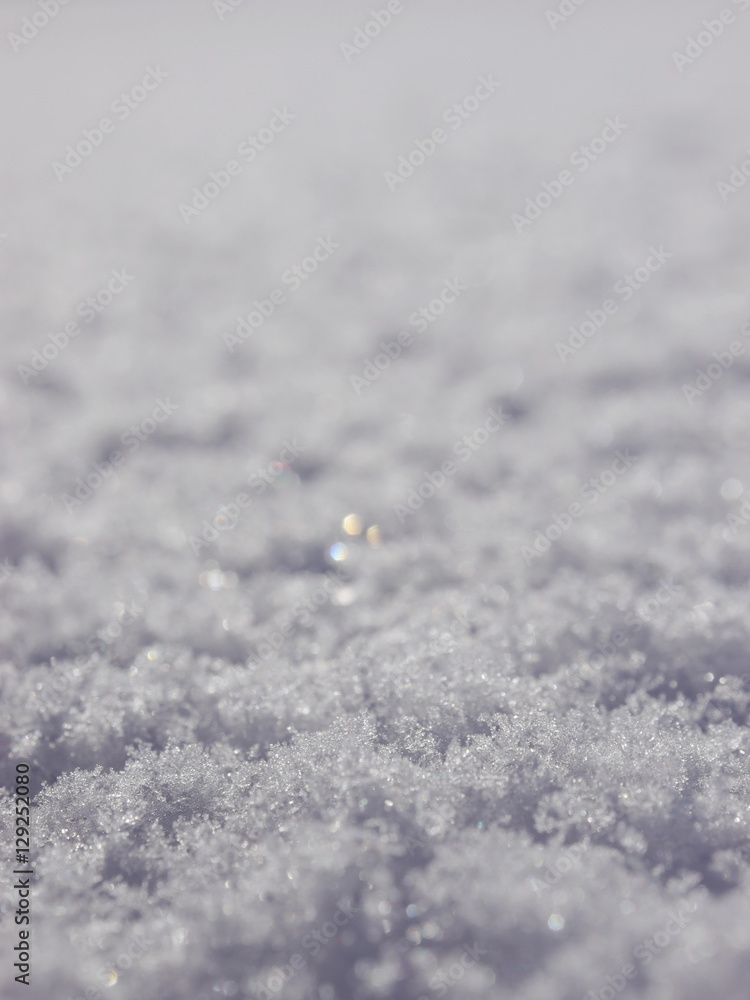 Obraz premium Snow surface winter
