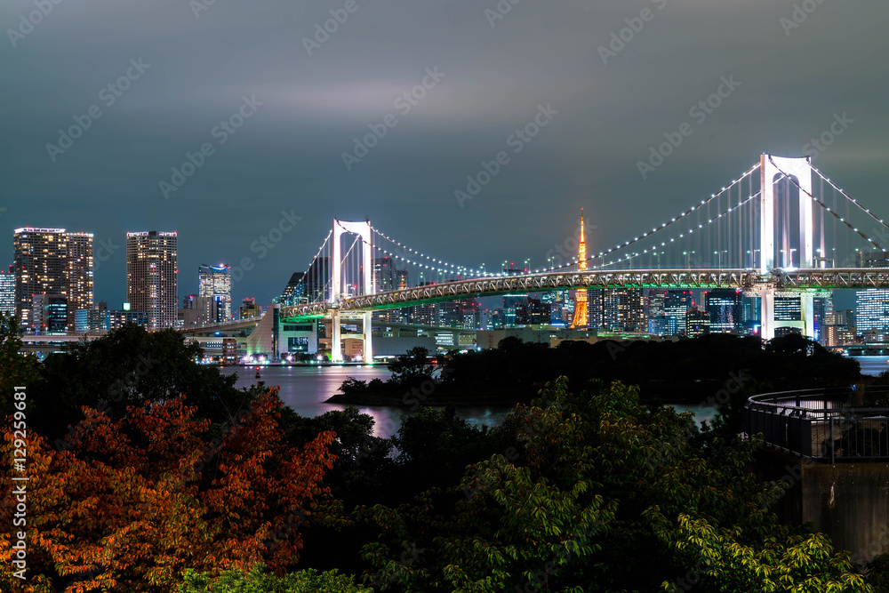 Obraz premium Tokyo skyline with Tokyo tower and rainbow bridge.