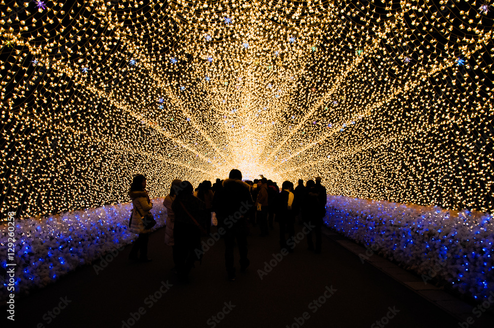 Naklejka premium The tunnel of light in Nabana no Sato garden at night in winter,