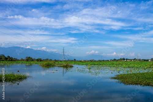 Country life scenery