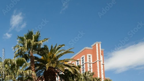 Time lapse palms and clouds close up
