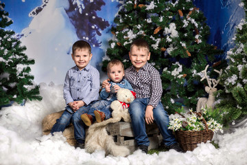 Winter kids, three brothers boys waiting easter holiday after winter and christmas holidays