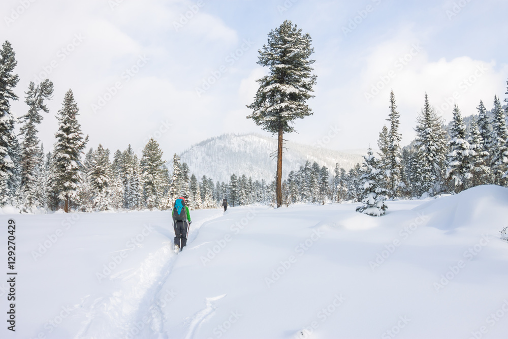 Girl backpacker walking on a forest road in the winter forest in