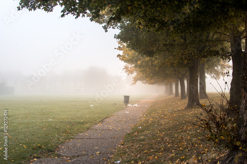 Heavy dense fog at a park