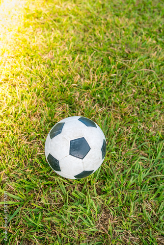 Soccer  Football in the grassfield  - Classical football on the playground  Close-up of football on football pitch.