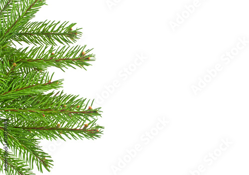 Christmas green framework isolated on white background