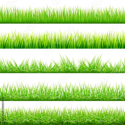 5 Backgrounds Of Green Grass, Isolated On White Background, Vector Illustration