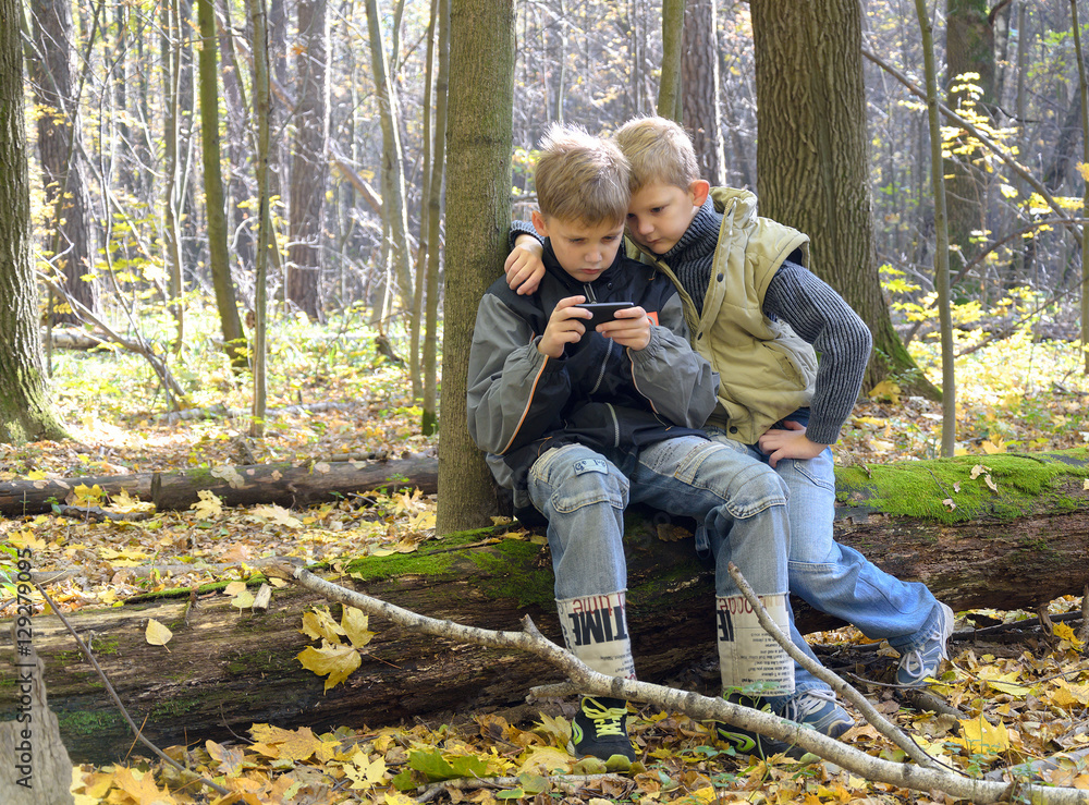children lost in the woods children lost in the woods