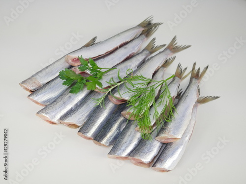  fresh fishes herrings photo