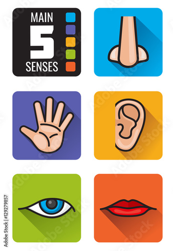 Five senses, nose, hand, mouth, eye, ear vector icons set