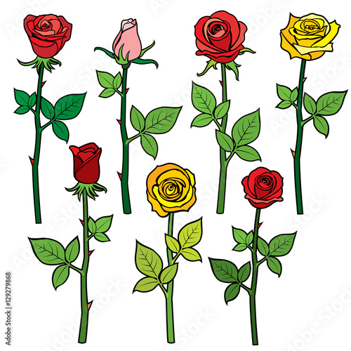 Red vector roses with flower buds isolated on white. Cartoon illustration