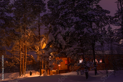 Snow-Covered Tall Pines on the Background of the Lighted Cottage