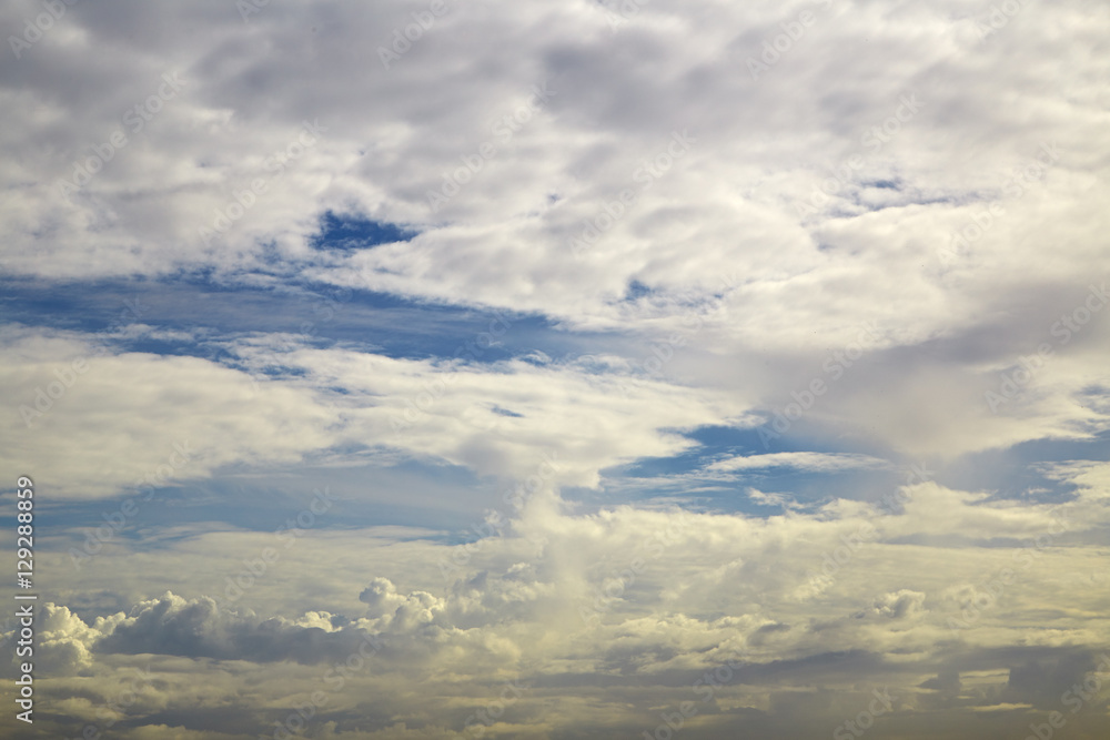 Fototapeta premium cloud on sky