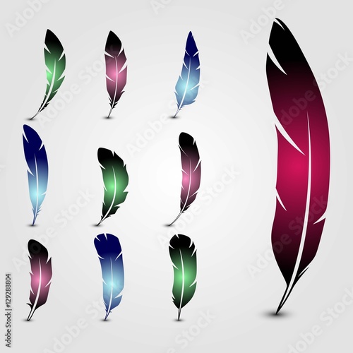 Set of feathers. Vector illustration.
