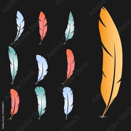 Set of feathers. Vector illustration.