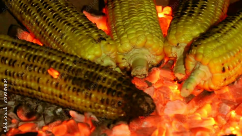 Roasted corn on the coals in the dark closeup Roasted corn on the coals in the dark closeup